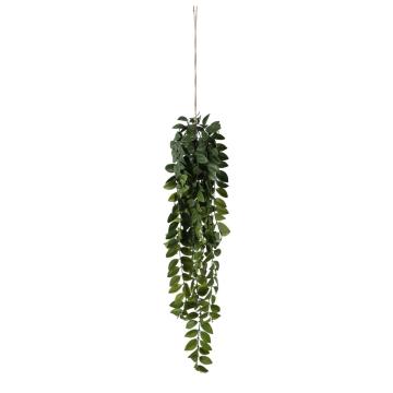 Hanging Philodendron Bush H.80cm
