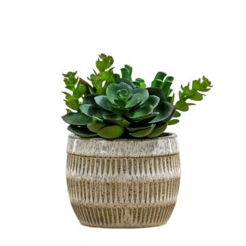 Potted Succulents Ceramic Pot H.14cm