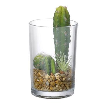 Artificial Cactus in Glass Vase