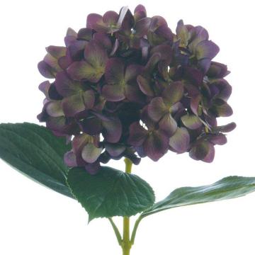 Artificial Hydrangea Purple & Green Height 66cm