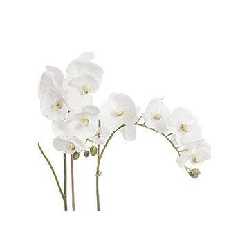 Artificial Phalaenopsis Potted White Height 73cm