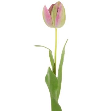 Artificial Tulip Green/Pink H.53cm