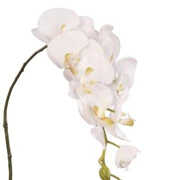 Artificial Orchid