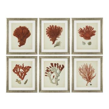 Eichholtz Prints Antique Corals Red Set of 6