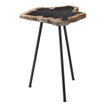  Mircea Petrified Wood Accent Table