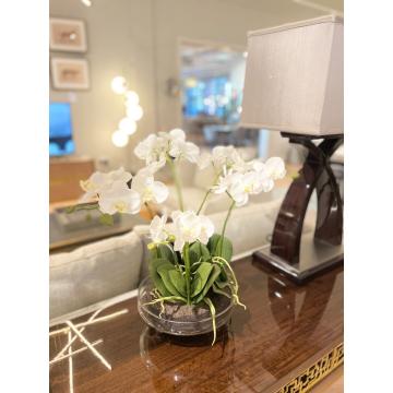 White Phalaenopsis Orchid in Glass Bowl