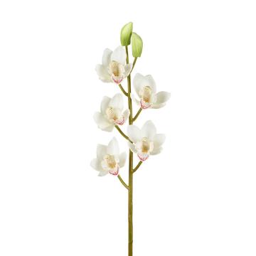 Orchid Cymbidium Stem Height 82.5cm