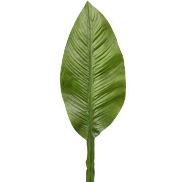 Strelitzia Leaf Height 86cm