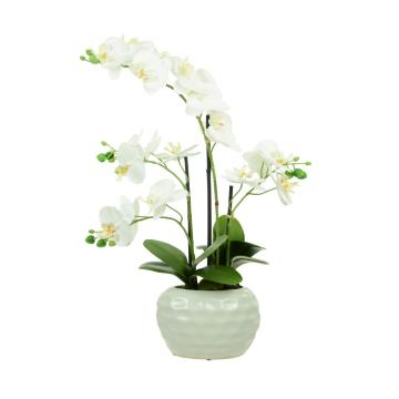 Artificial Phalaenopsis Dimpled Pot White H.53cm