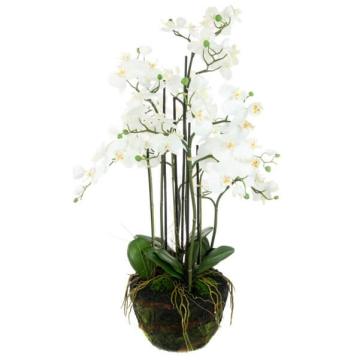 Artificial Phalaenopsis Orchid x 8 in Soil H110cm
