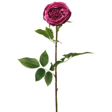 Rose Stem Lora Real Touch Fuchsia H.71cm