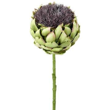 Thistle Stem Green/Lilac H.70cm