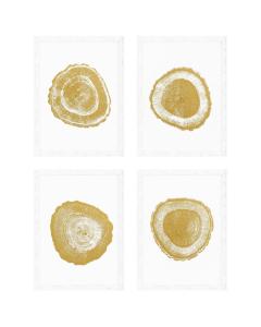 Gold Foil Tree Ring Prints Set of 4