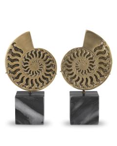 Object Ammonite Vintage Brass Finish set of 2
