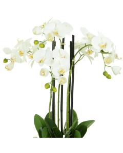 Artificial Phalaenopsis