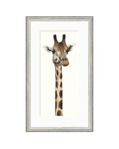 Tall, Dappled and Handsome by Dominique Salm - Limited Edition Framed Print