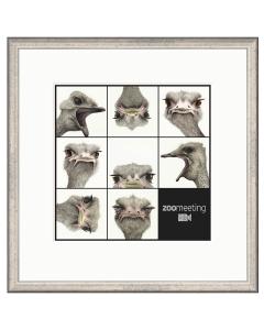 Zoomeeting by Dominique Salm - Limited Edition Framed Print