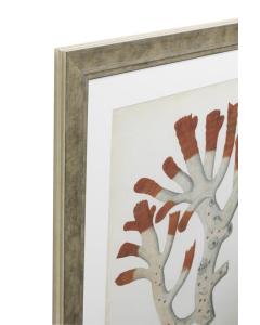 Eichholtz Prints Antique Corals Red Set of 6