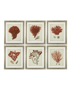 Eichholtz Prints Antique Corals Red Set of 6