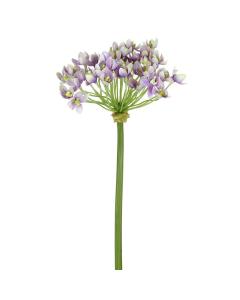 Parlane Agapanthus Stem Lilac/Cream H.48cm