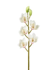 Orchid Cymbidium Stem Height 82.5cm