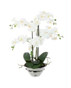 Artificial Phalaenopsis Orchid x 6 in Silver Pot H77cm