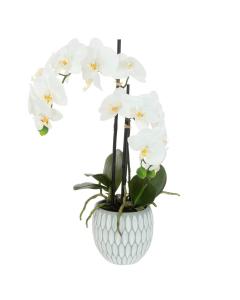 Artificial Orchid x 2 in Geo Pot H48cm