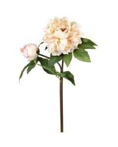Peony Real Touch Peach H.56cm
