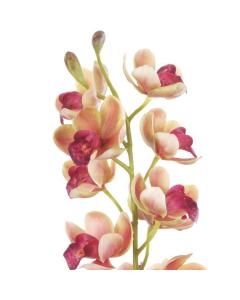 Artificial Cymbidium Orchid Princess - Pink & Yellow