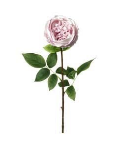 Rose Stem Lora Real Touch White/Pink H.71cm