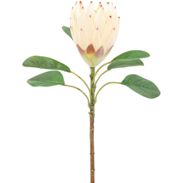 Faux Stem Statement Tropical in Ivory Set of 12